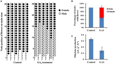 Transcriptomic Analysis Implies That GA Regulates Sex Expression via Ethylene-Dependent and Ethylene-Independent Pathways in Cucumber (Cucumis sativus L.)